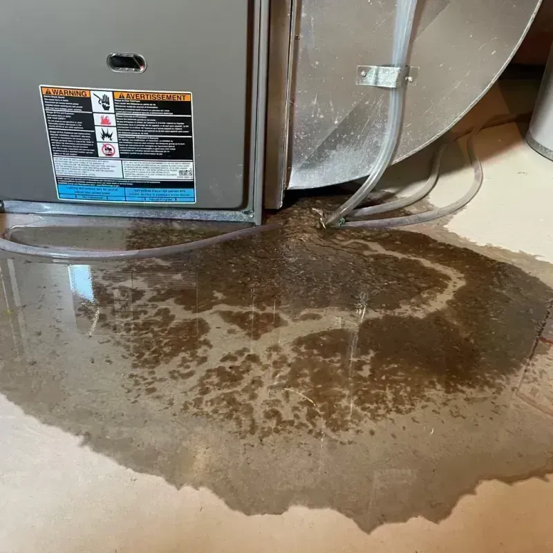 Appliance Leak Cleanup in Perry County, IL